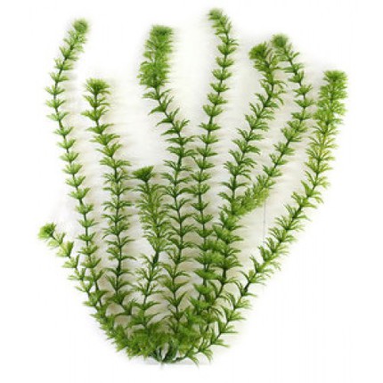 Растение DecoArt Ambulia - S (15 см)