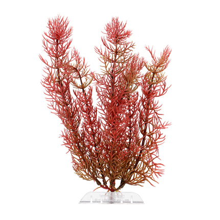 Растение DecoArt Red Foxtai - S (15 см)